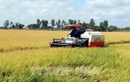 Chủ động kịch các kịch bản tiêu thụ nông sản
