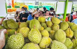 Trung Quốc cập nhật thêm 829 mã vùng trồng, 131 mã đóng gói sầu riêng của Việt Nam