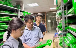 Bộ Y tế thành lập 15 tổ kiểm tra, mở cao điểm xử lý buôn lậu, hàng giả trong lĩnh vực y tế