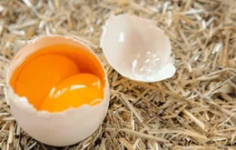 Đề nghị Bộ Công an điều tra, xử lý việc tung tin trứng giả