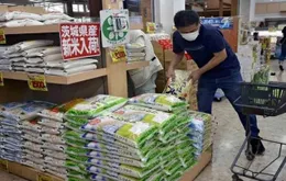 Nhật Bản gặp khó khăn trong việc giảm giá gạo