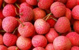 Mở rộng kết nối tiêu thụ vải thiều