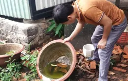 TP Hồ Chí Minh: Cảnh giác sốt xuất huyết mùa mưa