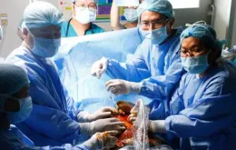 Nhân viên y tế sắp được hưởng phụ cấp ưu đãi nghề đến 70%?