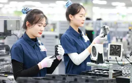 Siết truy xuất nguồn gốc, ngăn gian lận xuất xứ hàng hoá