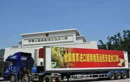 Thiết lập "luồng xanh" để nông sản tăng tốc sang Trung Quốc