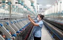 Những chính sách kinh tế mới nổi bật có hiệu lực từ 6/2025