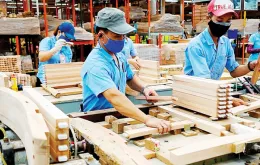 Hoa Kỳ điều tra gỗ dán Việt Nam, hơn 130 doanh nghiệp đối mặt nguy cơ áp thuế