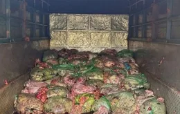 Nghệ An: chặn đứng 1,3 tấn nội tạng bốc mùi suýt lên bàn ăn