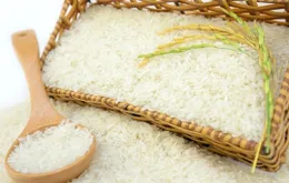 Trung Quốc tăng nhập khẩu trở lại gạo Việt