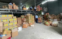 Hơn 36.000 sản phẩm thực phẩm và giấy vệ sinh nhập lậu bị thu giữ tại Cao Bằng