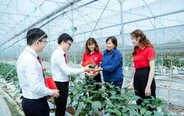 Cơ hội và thách thức của tín dụng xanh