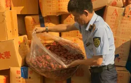Hà Nội: Tiêu hủy hơn 4 tấn táo đỏ nhập lậu, chủ hàng bị xử phạt nặng