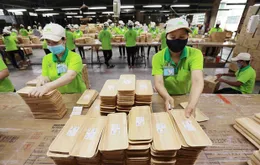 Thách thức xuất khẩu 18 tỷ USD xuất khẩu của ngành gỗ