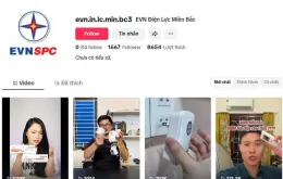 Mạo danh Tổng công ty Điện lực miền Bắc trên Tiktok để lừa đảo
