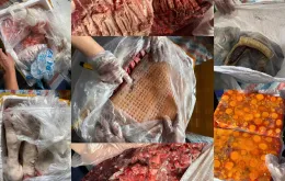 Chặn đứng container chở hơn 20 tấn nội tạng bốc mùi trên đường vào Nam tiêu thụ