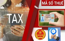 Từ 1/7, chính thức sử dụng số định danh cá nhân thay cho mã số thuế