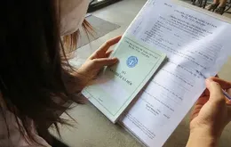 Trốn đóng BHXH, BHYT: Từ ngày 1/7 có thể bị khởi tố