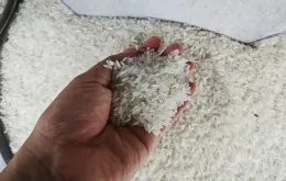 Giá gạo tại Nhật giảm sâu, chạm mức thấp nhất trong 3 tháng