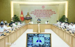 Thủ tướng: Triệt phá tận gốc tình trạng buôn bán thuốc chữa bệnh giả, thực phẩm giả