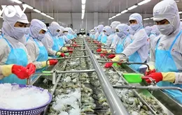 80% doanh nghiệp Việt Nam đã chủ động ứng phó với tác động từ thuế quan của Hoa Kỳ