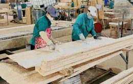Doanh nghiệp nỗ lực đạt mục tiêu xuất khẩu gỗ 18 tỷ USD