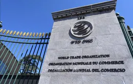 Tăng trưởng thương mại toàn cầu giảm tốc cuối năm