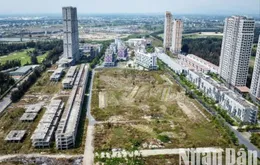 Chính phủ yêu cầu Đà Nẵng tập trung đẩy nhanh tiến độ tháo gỡ khó khăn cho 13 dự án tại bán đảo Sơn Trà