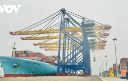 Thủ tướng chấp thuận xây dựng thêm 4 bến cảng container tại Hải Phòng