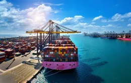 Nhanh chóng khai thác các thị trường xuất khẩu mới