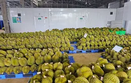 Đặt mục tiêu có 5.000 doanh nghiệp nông nghiệp vào năm 2030