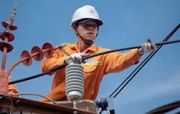 Tập đoàn Điện lực Việt Nam chỉ đạo khẩn ứng phó bão số 3 (WIPHA)