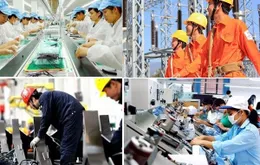 Luật số 68 - “Chiếc áo mới” của doanh nghiệp nhà nước