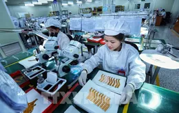 Động lực giữ chân dòng vốn FDI