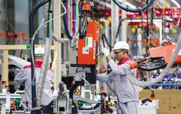 Xác lập mô hình phát triển mới để tăng trưởng cao