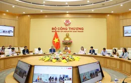 Dư địa và tiềm năng hợp tác giữa Brazil - Việt Nam còn rất lớn