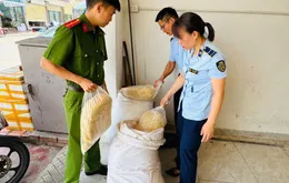 Thu giữ 100 kg ruốc gà không có hóa đơn, chứng từ tại cơ sở kinh doanh