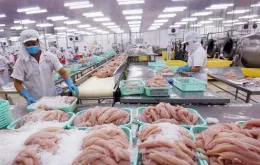 Xuất khẩu thủy sản hướng tới mục tiêu 12 tỷ USD