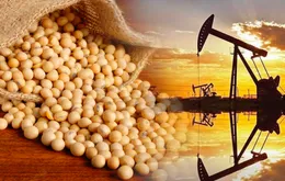Cung - cầu giằng co, giá hàng hóa thế giới phân hóa