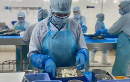 Logistics chuẩn Halal đưa hàng Việt vào thị trường tỷ USD