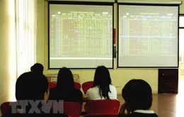 Thị trường chứng khoán trồi sụt sáng 18/8