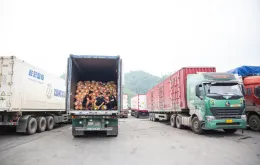 Tăng giám sát chủ động, tối ưu hóa giao thương biên giới
