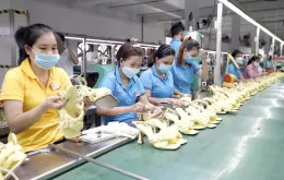 Cắt giảm thủ tục, mở lối cho doanh nghiệp bứt phá