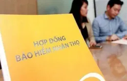Thêm quyền cho địa phương trong quản lý bảo hiểm