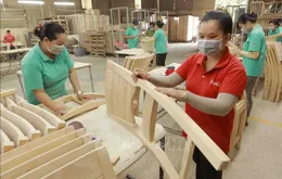 Xuất khẩu nông lâm thủy sản 8 tháng tăng 12%