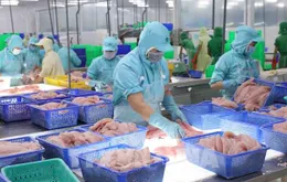 Xuất khẩu nông, lâm, thủy sản 8 tháng năm 2025 tăng 12%