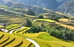 Du lịch nông nghiệp tạo đòn bẩy cho kinh tế nông thôn