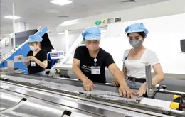 Tháng 8, tăng mạnh số doanh nghiệp thành lập mới và vốn đăng ký