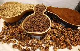 Cà phê Việt chinh phục người tiêu dùng Pháp