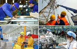 Bãi bỏ 16 ngành nghề kinh doanh có điều kiện: Cú hích cải cách thể chế, mở rộng đường cho doanh nghiệp